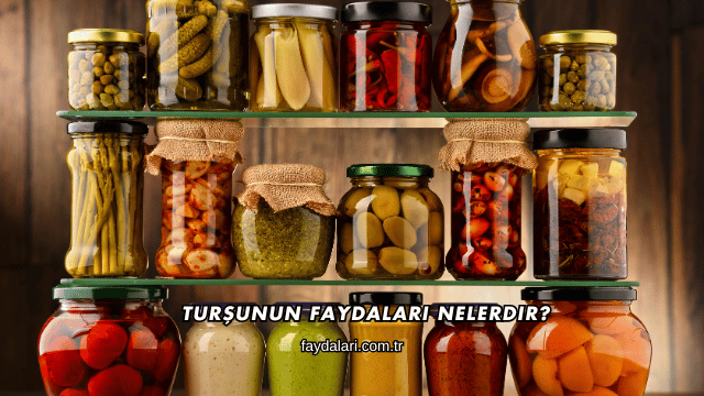 Turşunun Faydaları Nelerdir?