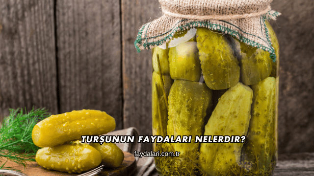 Turşunun Faydaları Nelerdir?