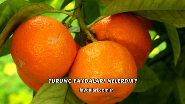 Turunç Faydaları Nelerdir?