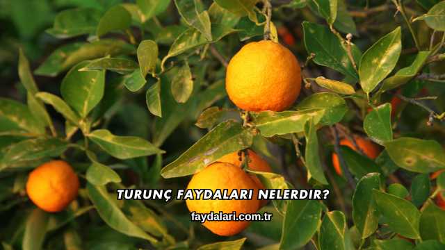 Turunç Faydaları Nelerdir?