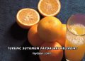 Turunç Suyunun Faydaları Nelerdir?