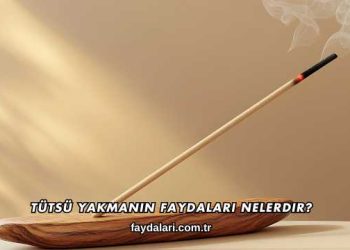 Tütsü Yakmanın Faydaları Nelerdir?