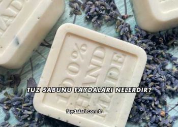 Tuz Sabunu Faydaları Nelerdir?