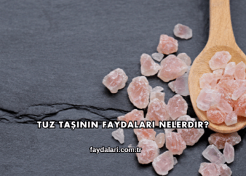 Tuz Taşının Faydaları Nelerdir?