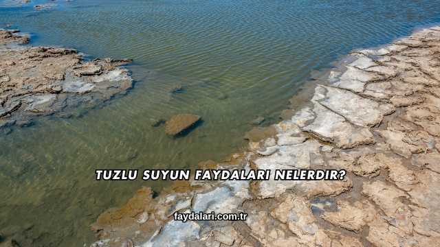 Tuzlu Suyun Faydaları Nelerdir?