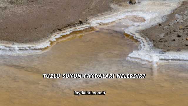 Tuzlu Suyun Faydaları Nelerdir?