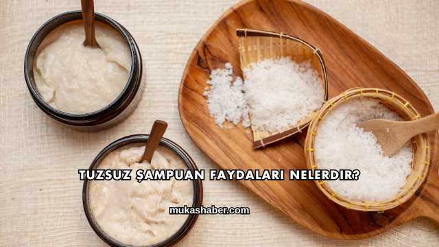 Tuzsuz Şampuan Faydaları Nelerdir?