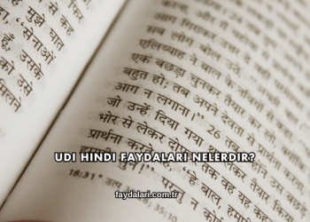 Udi Hindi Faydaları Nelerdir?