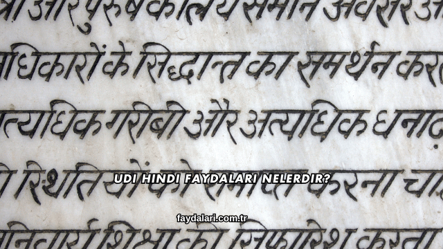 Udi Hindi Faydaları Nelerdir?