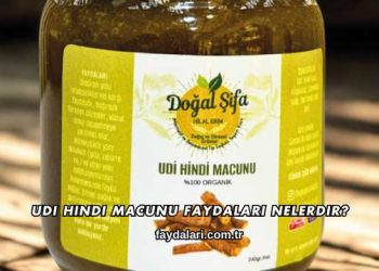 Udi Hindi Macunu Faydaları Nelerdir?