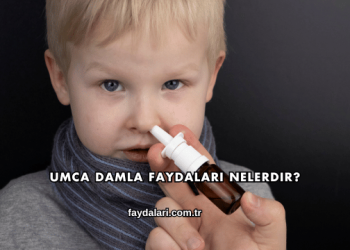 Umca Damla Faydaları Nelerdir?