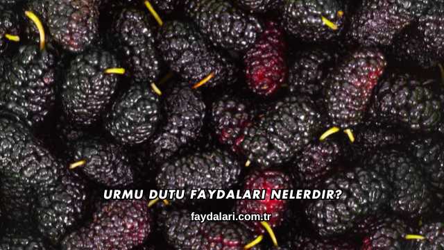 Urmu Dutu Faydaları Nelerdir?