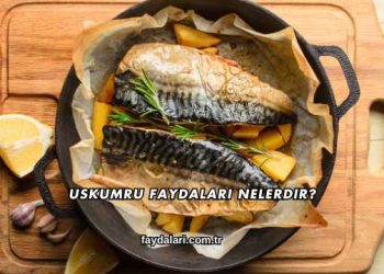 Uskumru Faydaları Nelerdir?