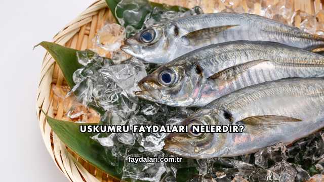Uskumru Faydaları Nelerdir?