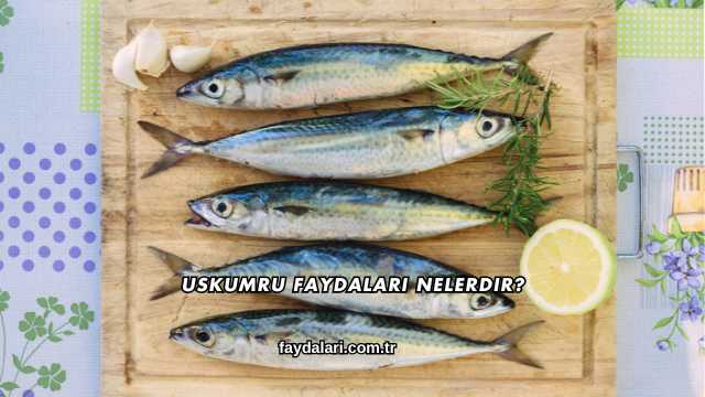 Uskumru Faydaları Nelerdir?
