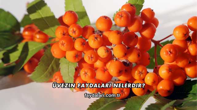 Üvezin Faydaları Nelerdir?