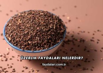 Üzerlik Faydaları Nelerdir?