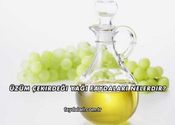 Üzüm Çekirdeği Yağı Faydaları Nelerdir?