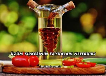 Üzüm Sirkesinin Faydaları Nelerdir?