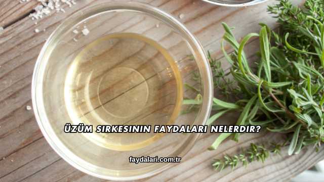Üzüm Sirkesinin Faydaları Nelerdir?