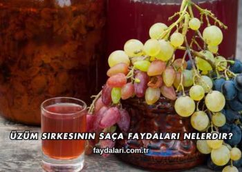 Üzüm Sirkesinin Saça Faydaları Nelerdir?