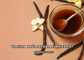 Vanilya Yağı Faydaları Nelerdir?