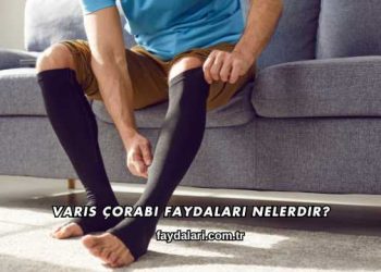 Varis Çorabı Faydaları Nelerdir?