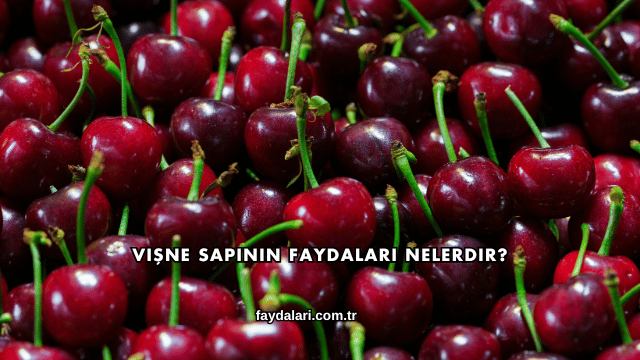 Vişne Sapının Faydaları Nelerdir?