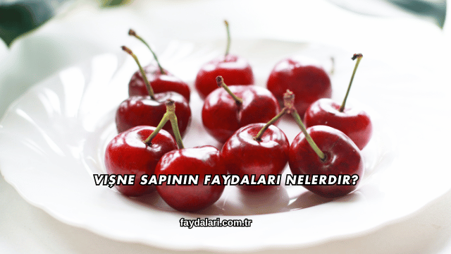 Vişne Sapının Faydaları Nelerdir?