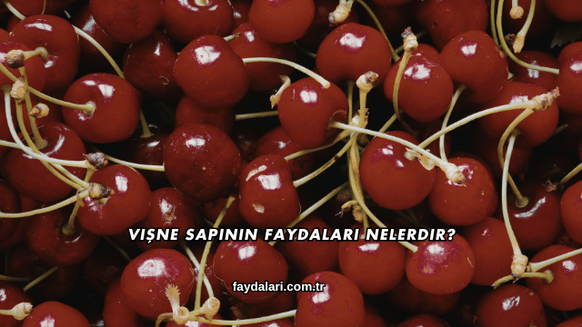 Vişne Sapının Faydaları Nelerdir?