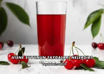 Vişne Suyunun Faydaları Nelerdir?