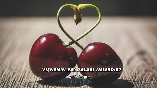 Vişnenin Faydaları Nelerdir?