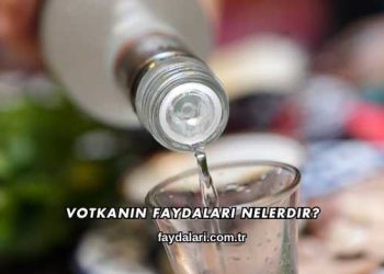 Votkanın Faydaları Nelerdir?