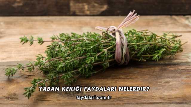 Yaban Kekiği Faydaları Nelerdir?