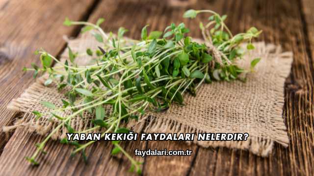 Yaban Kekiği Faydaları Nelerdir?