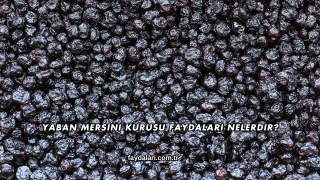 Yaban Mersini Kurusu Faydaları Nelerdir?