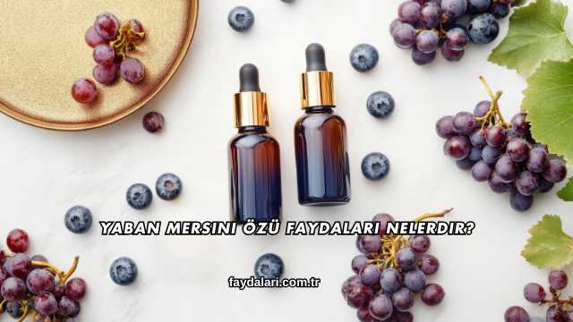 Yaban Mersini Özü Faydaları Nelerdir?