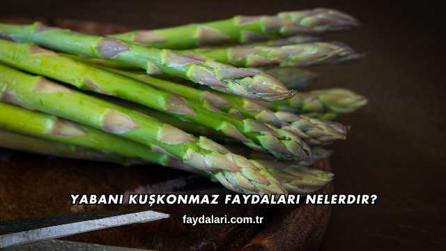 Yabani Kuşkonmaz Faydaları Nelerdir?