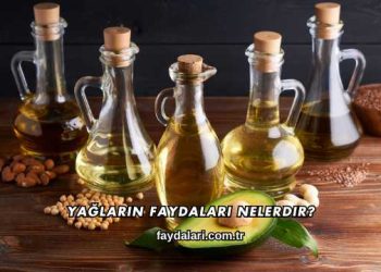 Yağların Faydaları Nelerdir?