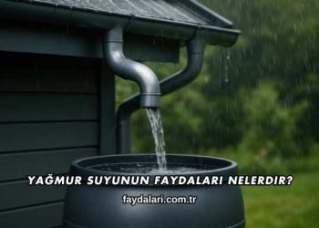 Yağmur Suyunun Faydaları Nelerdir?