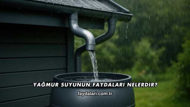 Yağmur Suyunun Faydaları Nelerdir?