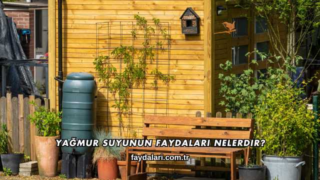Yağmur Suyunun Faydaları Nelerdir?