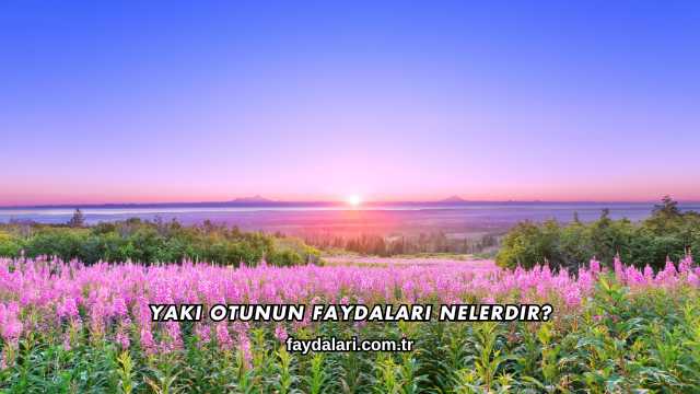 Yakı Otunun Faydaları Nelerdir?