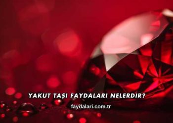 Yakut Taşı Faydaları Nelerdir?