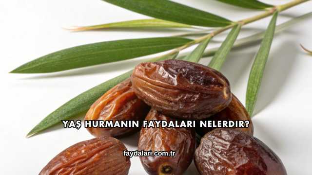 Yaş Hurmanın Faydaları Nelerdir?