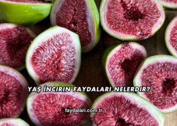 Yaş İncirin Faydaları Nelerdir?