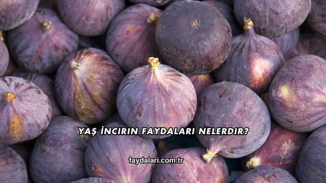 Yaş İncirin Faydaları Nelerdir?