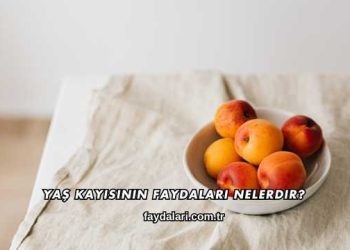 Yaş Kayısının Faydaları Nelerdir?