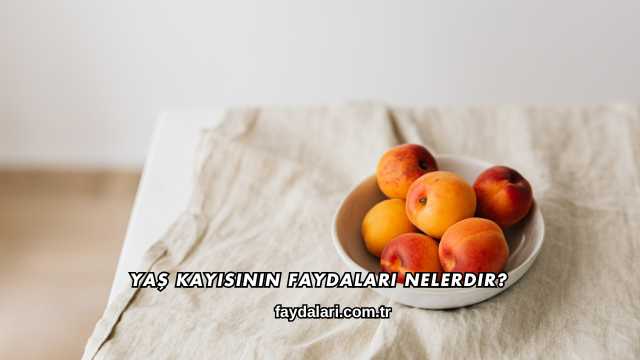 Yaş Kayısının Faydaları Nelerdir?