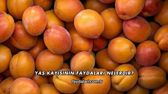 Yaş Kayısının Faydaları Nelerdir?